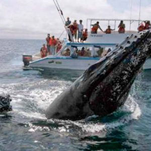 Vacation_On_Samana-44__Custom_